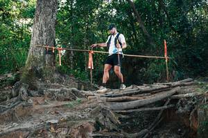 BIB: 
                            <button type="button" onclick="openModal(27756350)" class="btn btn-primary btn-sm float-right btn-popup" data-toggle="modal" data-target=".modal-high-quality">
                        <i class="fas fa-shopping-cart"></i> Add to Cart
                    </button>
                                            <button type="button" onclick="isThisMe(27756350, true)" class="btn btn-success btn-sm float-right btn-popup btn-isme hidden" data-toggle="tooltip" data-placement="bottom" title="นี่คือรูปของคุณใช่ไหม คลิกที่นี่เพื่อเอาเข้าอัลบั้ม">
                        <i class="fas fa-plus"></i> Add to album
                    </button>
                    <button type="button" onclick="isThisMe(27756350, false)" class="btn btn-warning btn-sm float-right btn-popup btn-isnotme hidden">
                        <i class="fas fa-ban"></i> Remove from album
                    </button>